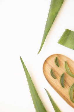 Aloe vera ile canlı düz kompozisyon. Boşluğu kopyala.