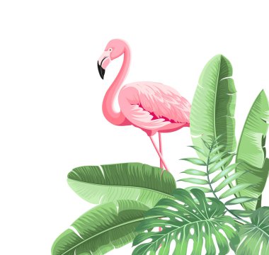 Yaz tropik çerçeve egzotik muz yaprağı. Kart, davet, poster için tasarım arkaplanı.