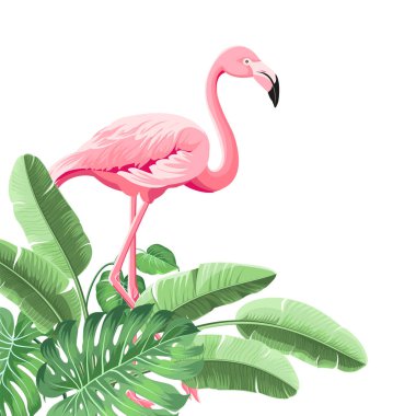 Yaz tropik çerçeve egzotik muz yaprağı. Kart, davet, poster için tasarım arkaplanı.