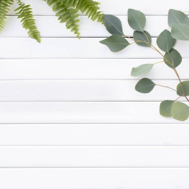 Okaliptüs dallarının yeşil yaprakları ahşap bir arka planda.