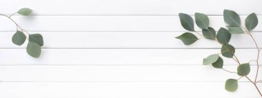 Okaliptüs dallarının yeşil yaprakları ahşap bir arka planda.