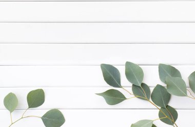 Okaliptüs dallarının yeşil yaprakları ahşap bir arka planda.