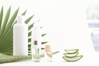 Aloe Vera yaprak dilimi ve gerekli yağ. Cilt bakımı için doğal losyon.