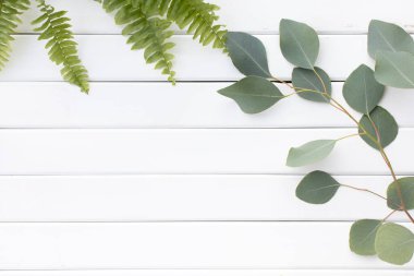 Okaliptüs dallarının yeşil yaprakları ahşap bir arka planda.