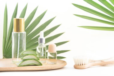 Temel yağ ve losyon aloe vera ve kuru fırçayla masaj tedavisi.