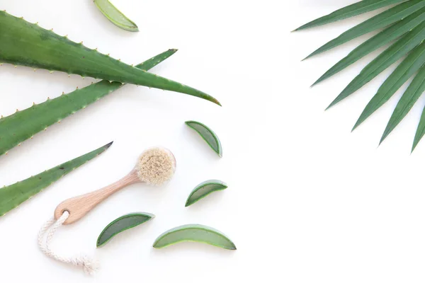 Cepillo seco para masaje.Vibrante composición plana con aloe vera. — Foto de Stock