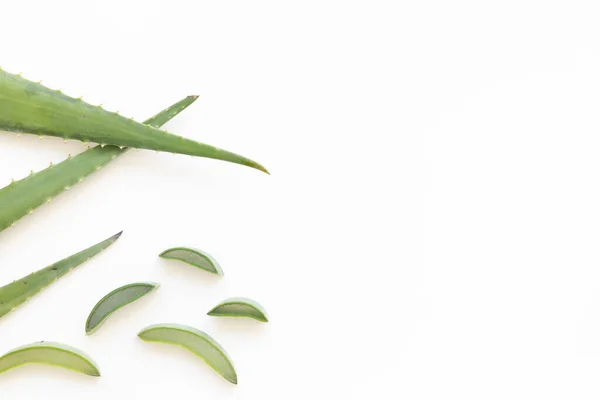 Aloe vera ile canlı düz kompozisyon. Boşluğu kopyala. — Stok fotoğraf
