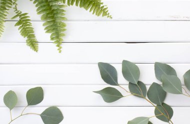 Okaliptüs dallarının yeşil yaprakları ahşap bir arka planda.