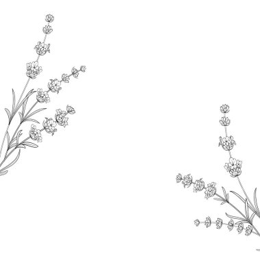 El çizimi çerçeve lavantası.