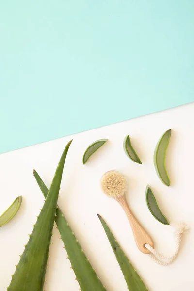 Cepillo seco para masaje.Vibrante composición plana con aloe vera. —  Fotos de Stock