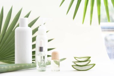 Aloe Vera yaprak dilimi. Cilt bakımı için doğal losyon..