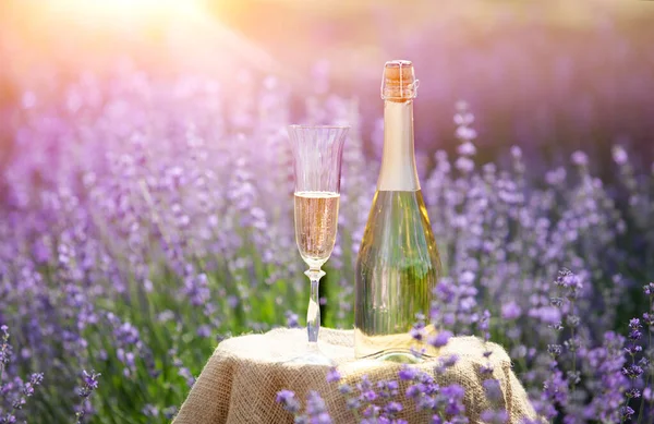 Champagne is poured into glasses in a sunset lavender field. — Stock Photo, Image