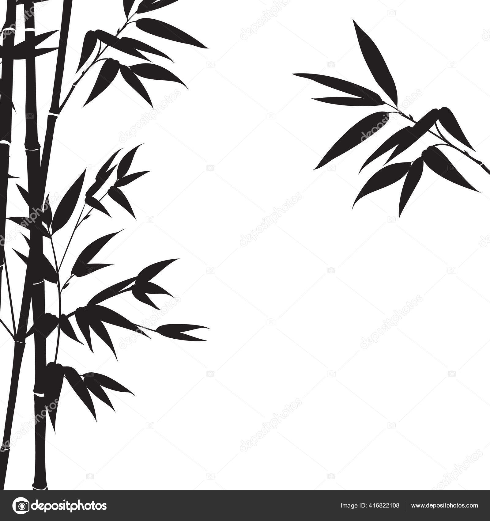 Silueta hojas de bambú sobre fondo blanco. Vector de stock #416822108 de  ©Kotkoa, image size:1600x1700