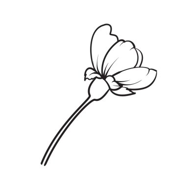 El çizimi elementler sakura çiçek koleksiyonu.