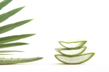 Tropik bir arka planda taze yapraklar ve aloe vera dilimleri..