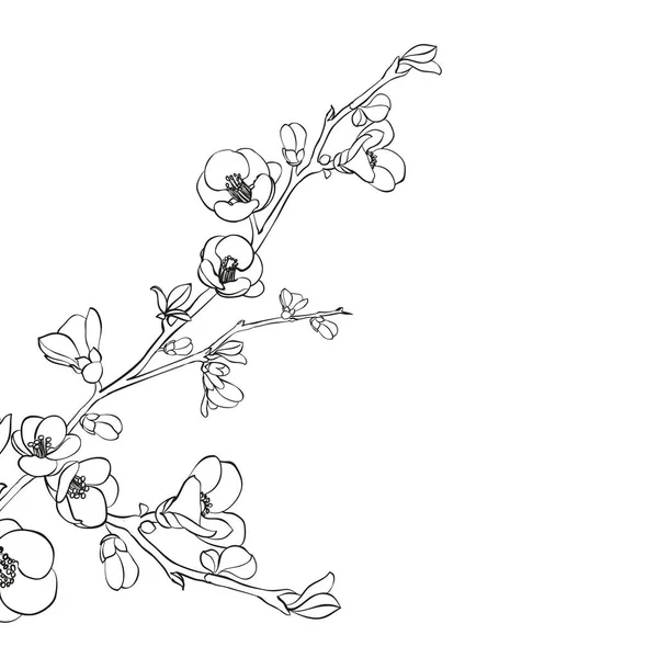 Ręcznie rysowane elementy projektowe sakura kwiaty kolekcja. — Wektor stockowy