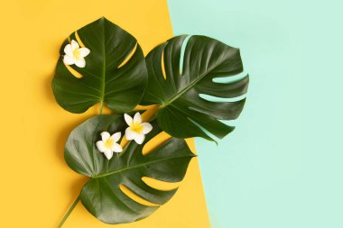 Palmiye yaprakları ve çiçekli tropikal arkaplan.