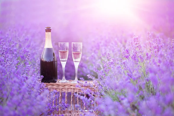 A bottle of champagne and glasses in a sunset lavender field. — Stock Photo, Image