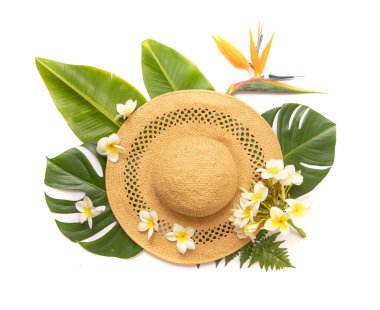 Beyaz arka planda tropik palmiye yaprağı ve şapka. Canavar yapraklarıyla kompozisyonda çiçek. Canlı minimal moda konsepti