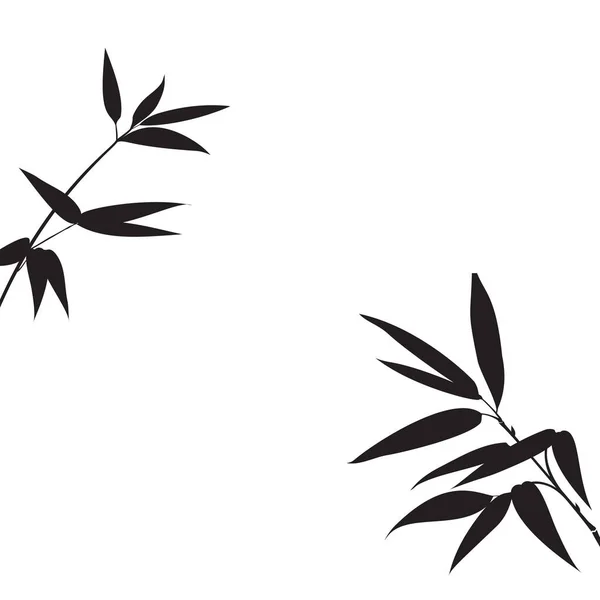 Branches de bambou décoratives isolées sur fond blanc. — Image vectorielle