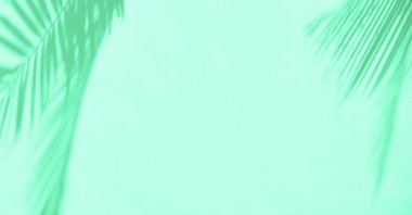 Duvarda tropik güneş gölgeleri.