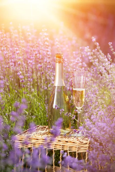 El champán se vierte en vasos en un campo de lavanda al atardecer. — Foto de Stock