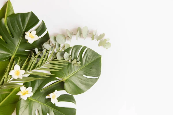 Fondo tropical con hojas de palma y flor. —  Fotos de Stock