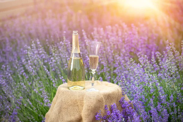 Eine Flasche Champagner und Gläser in einem Lavendelfeld bei Sonnenuntergang. — Stockfoto