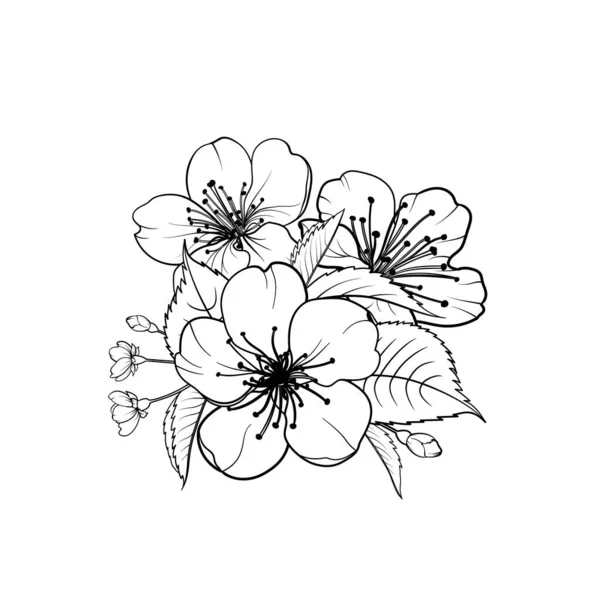 Elementos de diseño dibujado a mano colección flores sakura. — Vector de stock