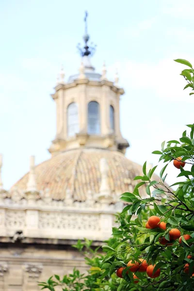 Katedrála Panny Marie a pomerančovníku, Symbol v Seville a Španělsko — Stock fotografie