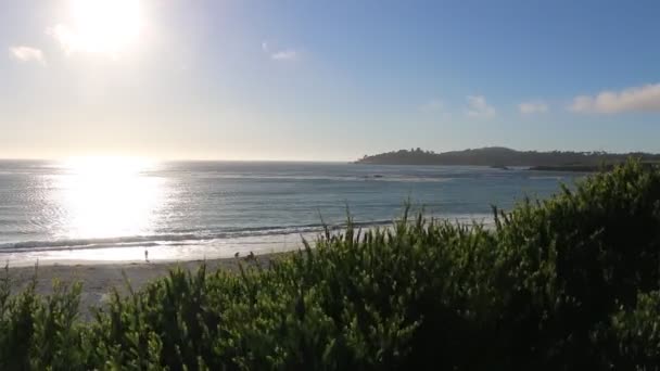 Άποψη της παραλίας Gibson από την ακτή σε Carmel, Καλιφόρνια — Αρχείο Βίντεο