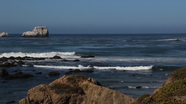 Zeeolifant Vista Wijs in San Simeon, Californië, een populaire bezienswaardigheid langs de kust Highway 1. — Stockvideo