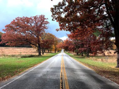 Bir sonbahar sabahı Valley Forge ulusal tarihi Valley Forge, Pennsylvania, ABD içinde yer alan Park