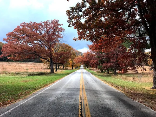 秋日早晨, 位于美国宾夕法尼亚州福格谷的福格谷国家历史公园 免版税图库照片