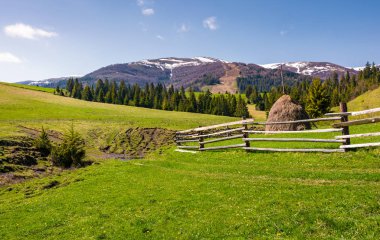 bahar güzel kırsal sahne. ahşap çit ve samanlık Borzhava dağ sırtı karlı üstleri ile dibinde çimenli bir yamaca.