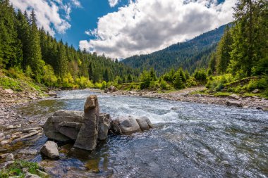 kayalar cascade orman Nehri üzerinde. güzel manzara parlak bir günde dağlarda. seyahat Karpatlar çok güzel zaman geçirdim