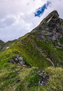 kayalık uçurum tepe kenarında. bulutlu bir günde dağlarda güzel doğa manzarası
