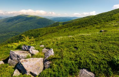 yaz sabahı güzel dağ manzarası. kayalar arasında hillside çimlerde