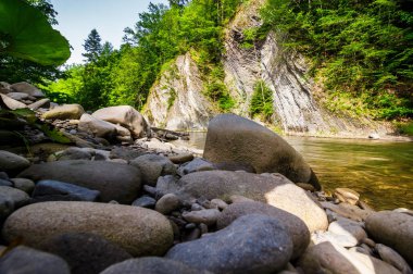 kayalar nehir kıyısında. ormandaki güzel doğa manzarası