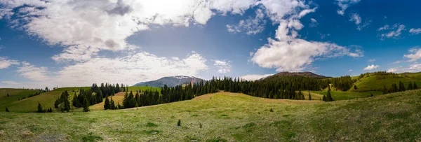 Belo Panorama Área Montanhosa Primavera Floresta Abeto Colinas Gramadas Vale — Fotografia de Stock