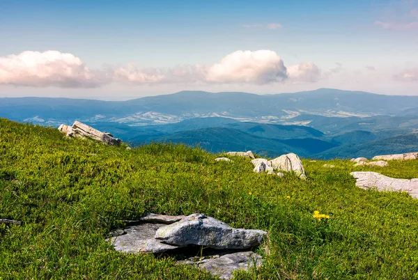 Grassy Meadow Boulders Hillside Beautiful Landscape Fresh Summer Morning — Stock Photo, Image