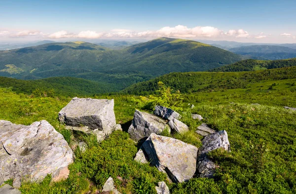 Vackra Bergslandskap Sommarmorgon Stenblock Bland Gräset Sluttning — Stockfoto