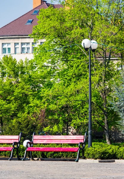 Holzbänke Unter Der Laterne Stadtpark Schöne Naturkulisse Frühling — Stockfoto