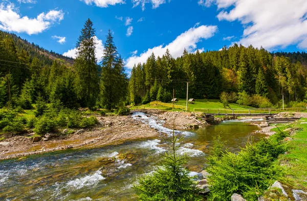 Schöne Landschaft Mit Waldfluss Den Bergen Eine Herrliche Frühlingslandschaft Einem — Stockfoto