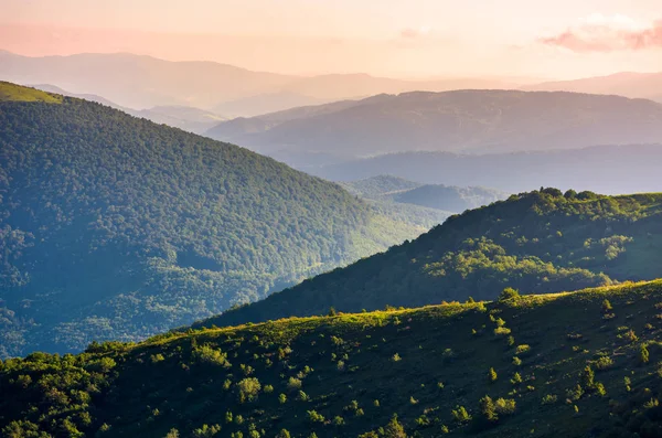 Vackra Bergslandskapet Sommarmorgon Skogsklädda Kulle Upplyst Morgonljuset Härlig Natur Bakgrund — Stockfoto