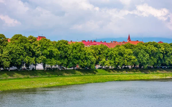 Parte Del Callejón Tilo Terraplén Del Río Uzh Hermoso Día — Foto de Stock