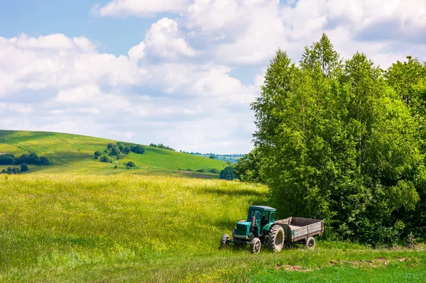 Grassy Fields Rolling Hills Summer Beautiful Countryside Scenery Carpathian Mountains — Stock Photo, Image