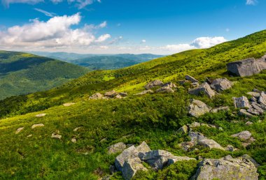 Karpat Dağları tepelerinde inişli çıkışlı yeşil. güzel yaz manzara ile bazı bulutlar mavi gökyüzünün altında. yürüyüş ve doğa için iyi bir yer bağlanmak