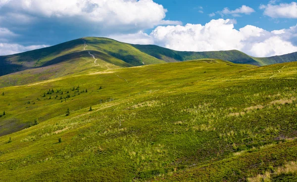Piękny Krajobraz Karpat Trawiasta Borżawa Ridge Pod Błękitne Niebo Chmur — Zdjęcie stockowe