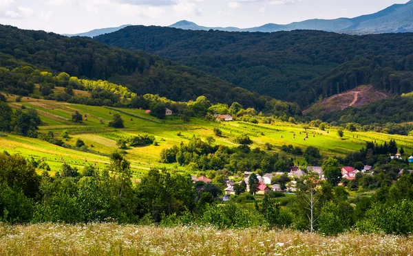 Small Carpathian Village Mountains Beautiful Landscape Forested Hills Agricultural Fields — Stock Photo, Image